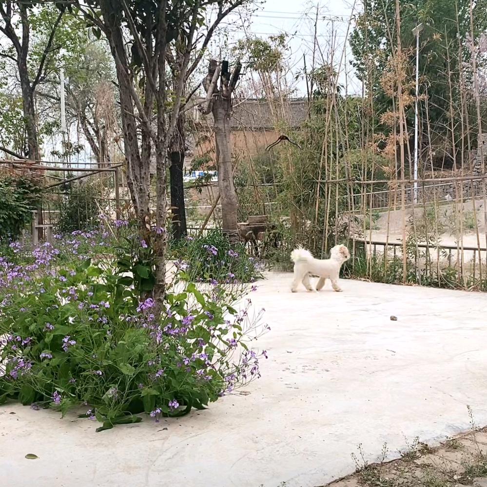 🍂风过无痕