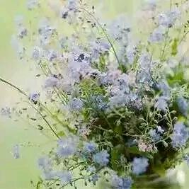 🦋离ꦿ᭄໊🕊别᭄ꦿᩚ٭