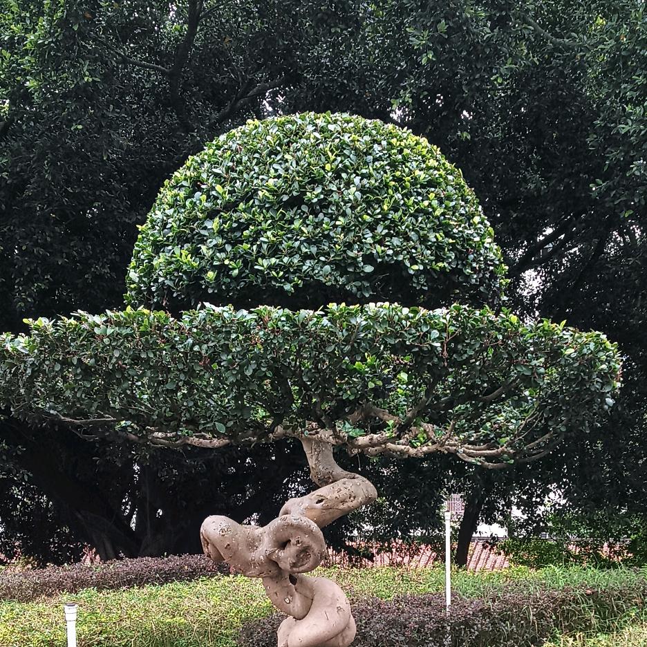 @物是人非@