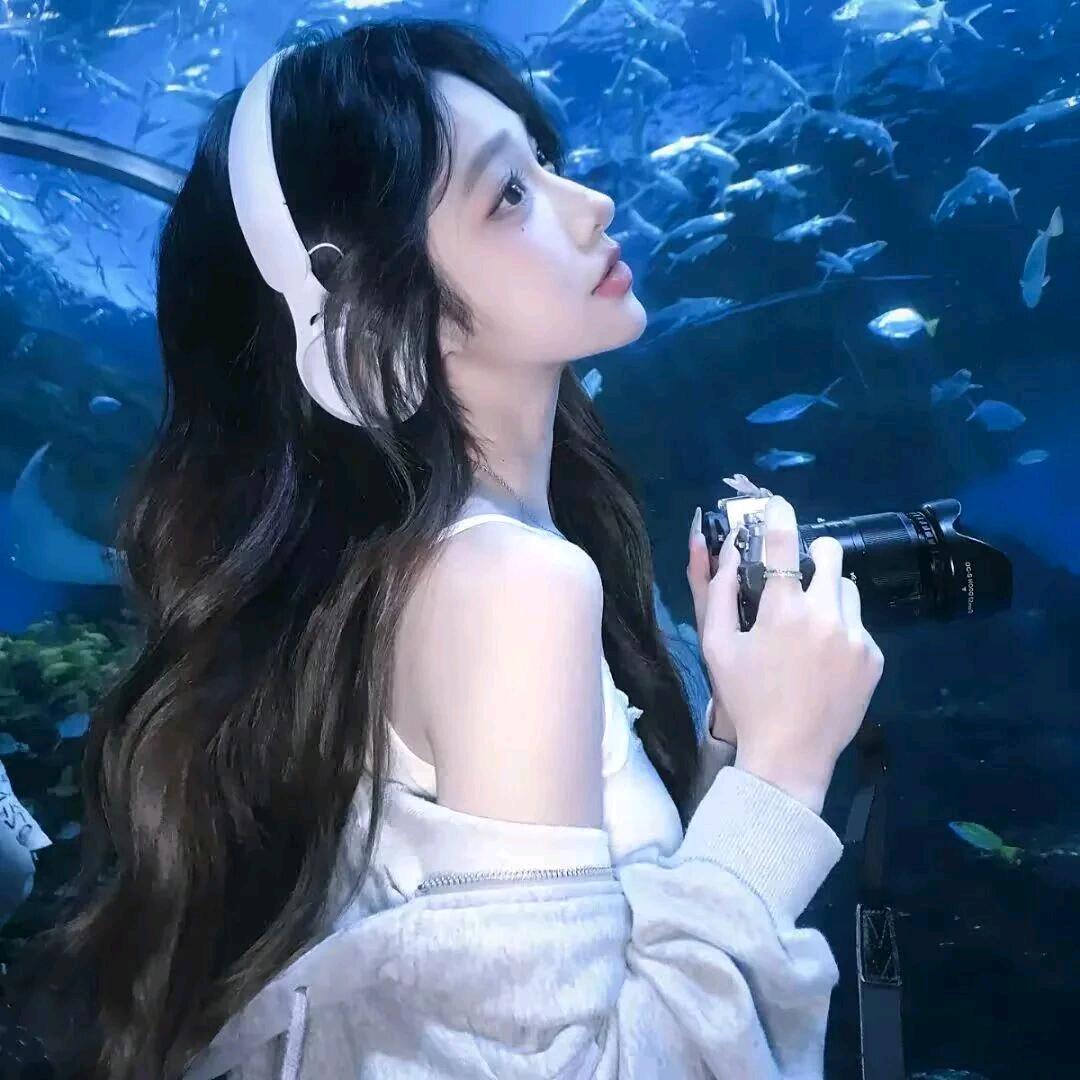 扶摇吖