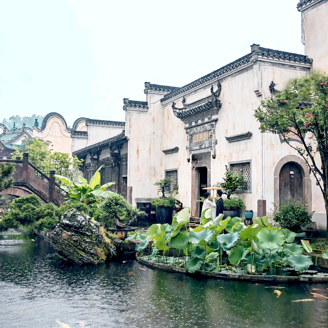 青青子矜