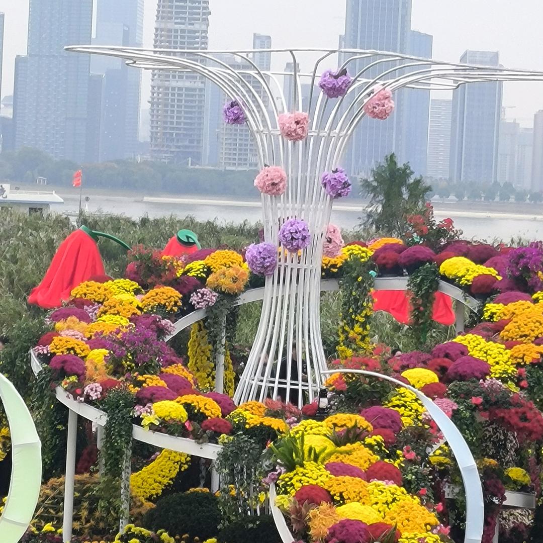 开心每一天。🌹🌹🌶️🐔