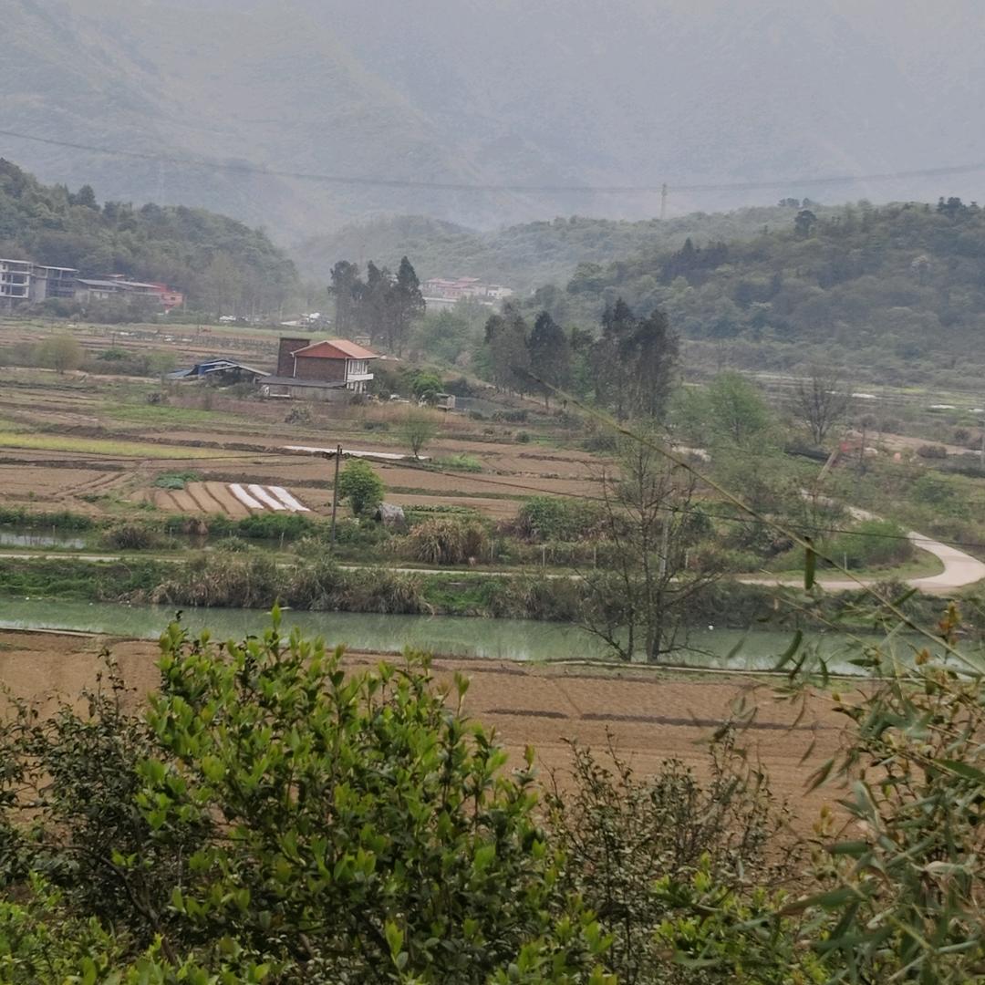 🌻心若琉璃✨晓晓💫