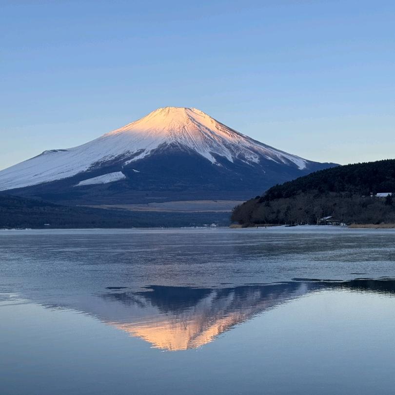 汤米家