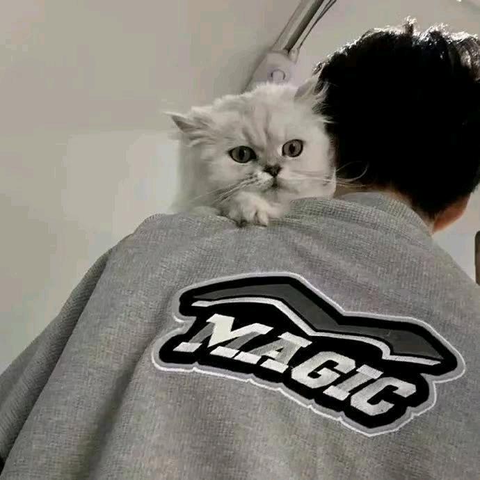 阿萨姆
