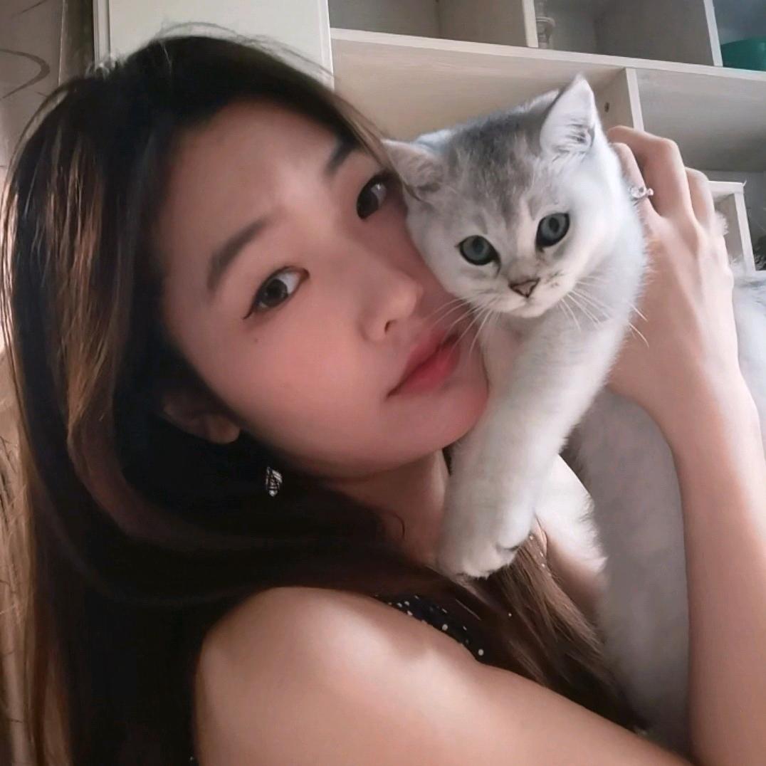 茜茜