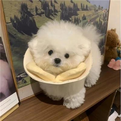 杭州斐琳潮流服饰小铺