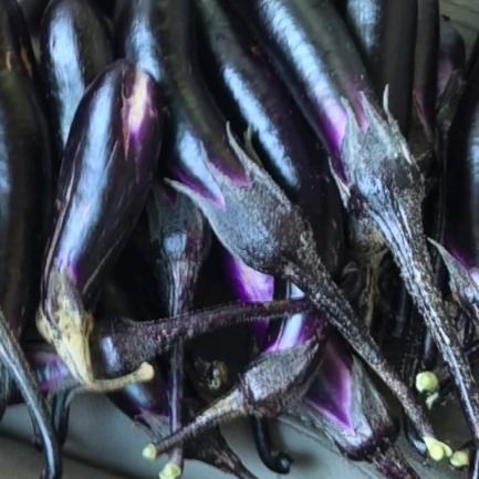 带上我一起吃口热饭