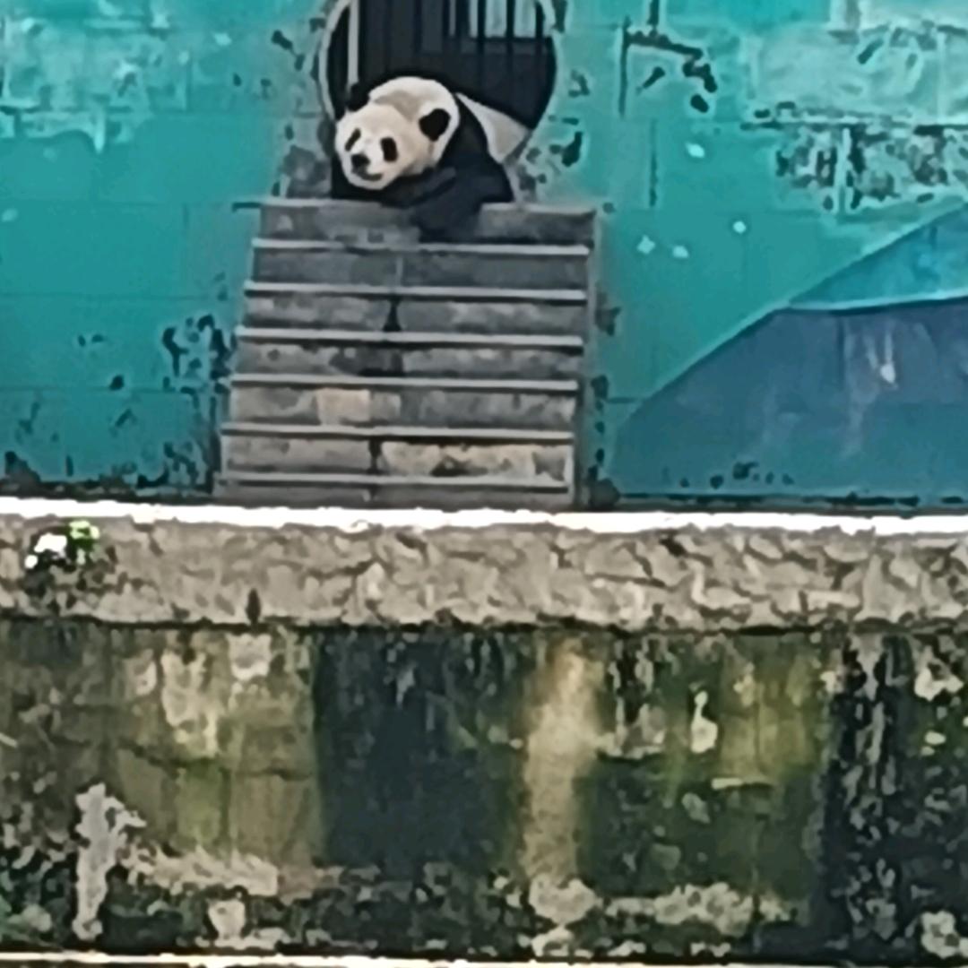 简单生活（谢绝莲👍）