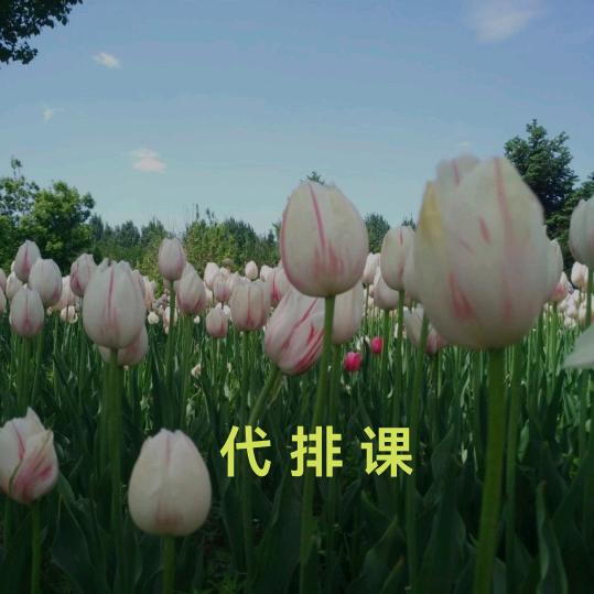 松鹤一男