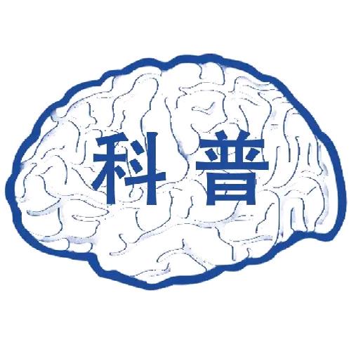 强哥搬专