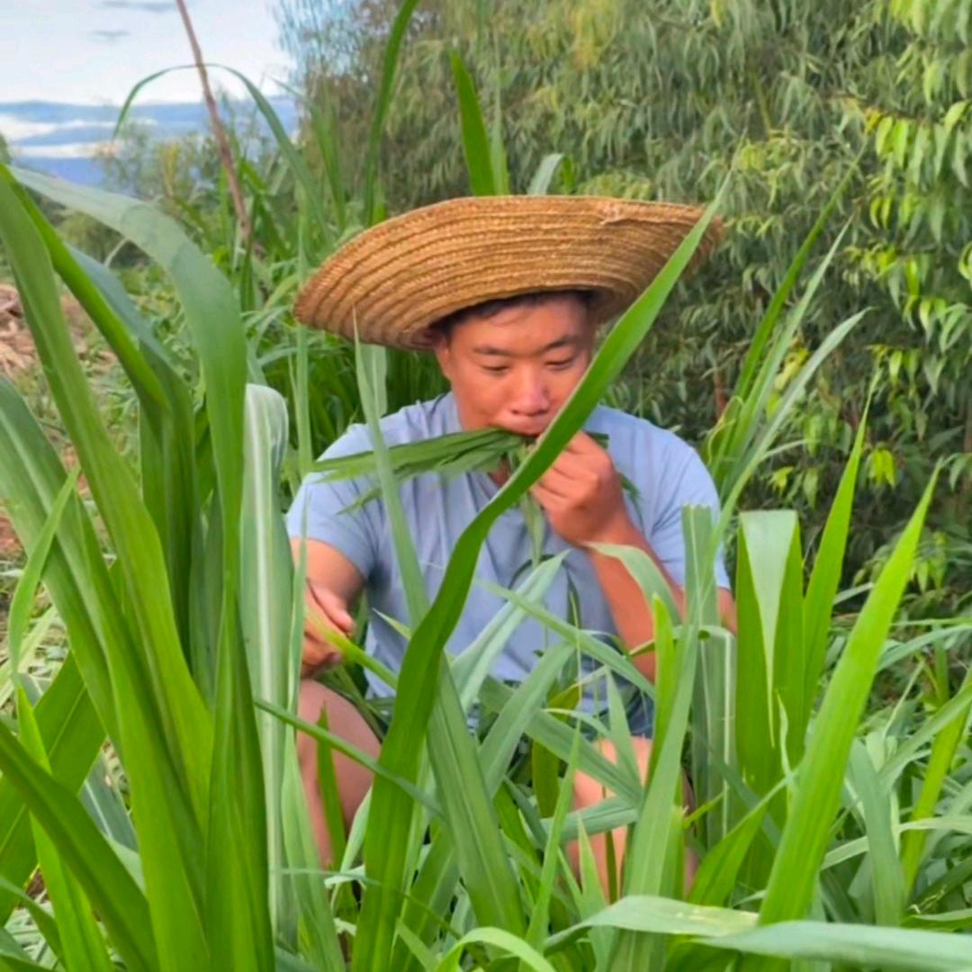 多米阳光