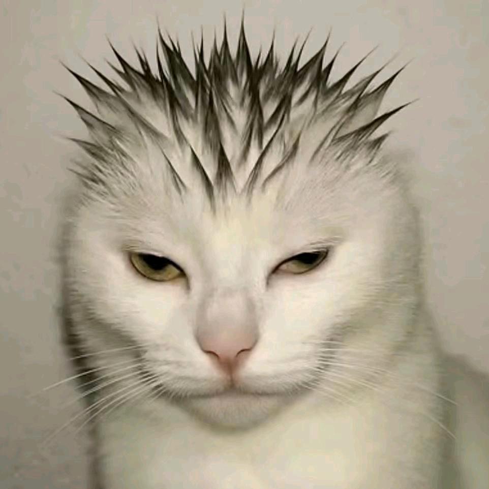 图图COS女仆勾引牛爷爷