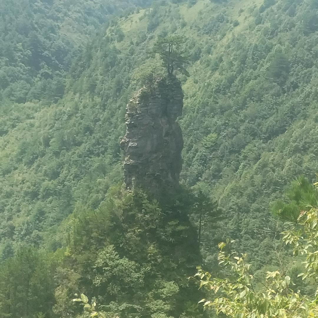深拥意中人
