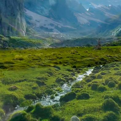 养好自己最重要