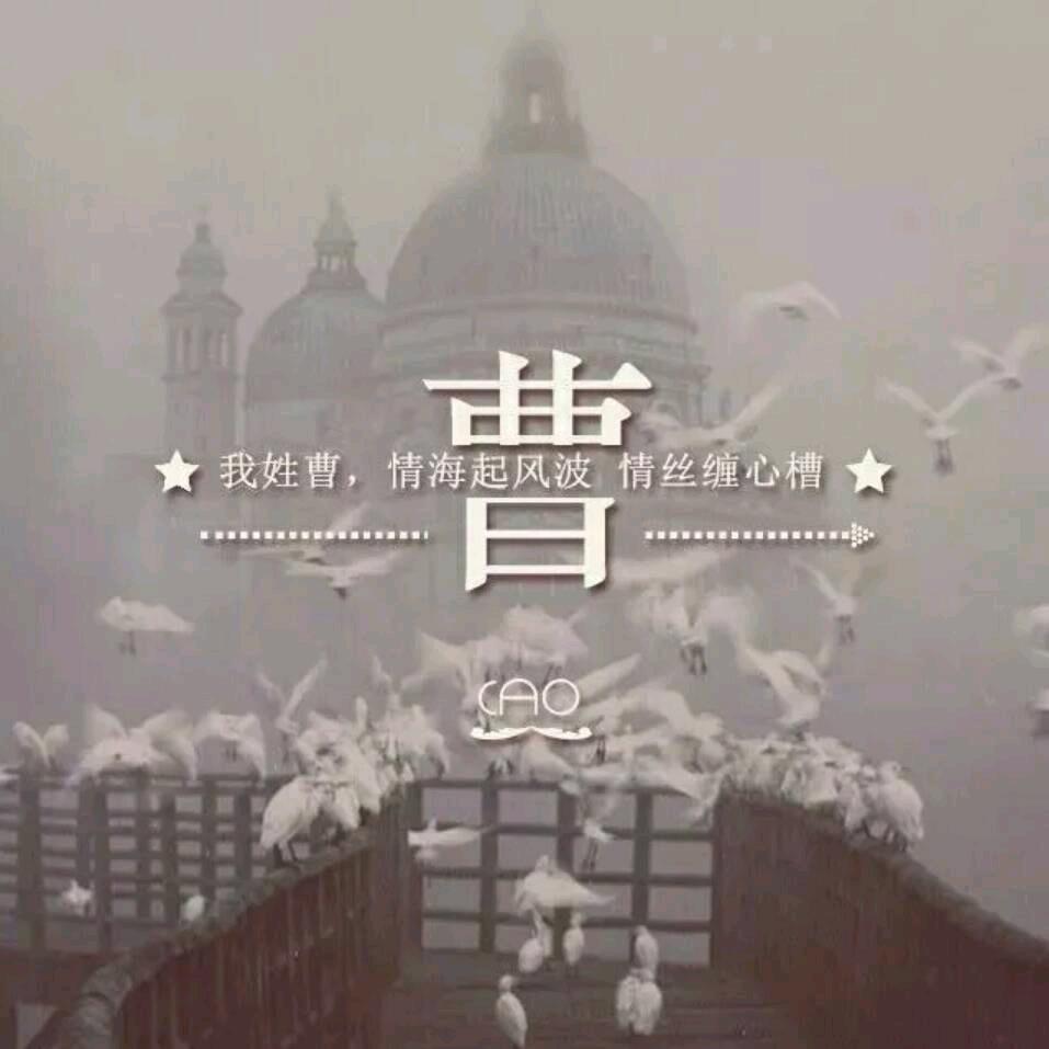 会飞的狼