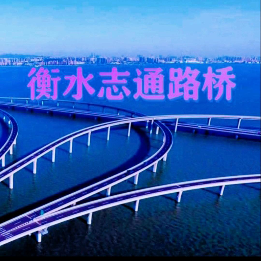 衡水志通路桥