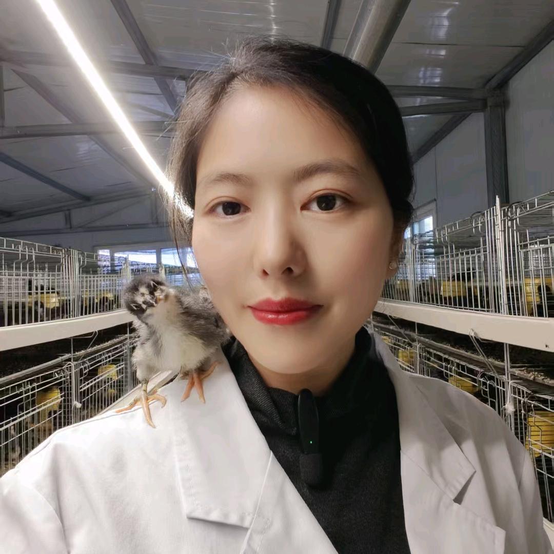 木子李养鸡技术指导