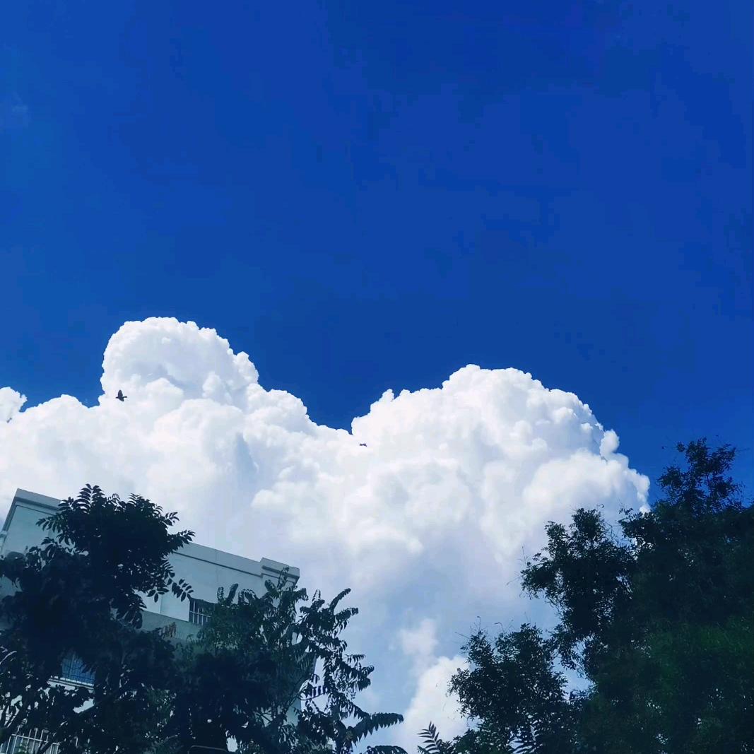 雷子的小生活