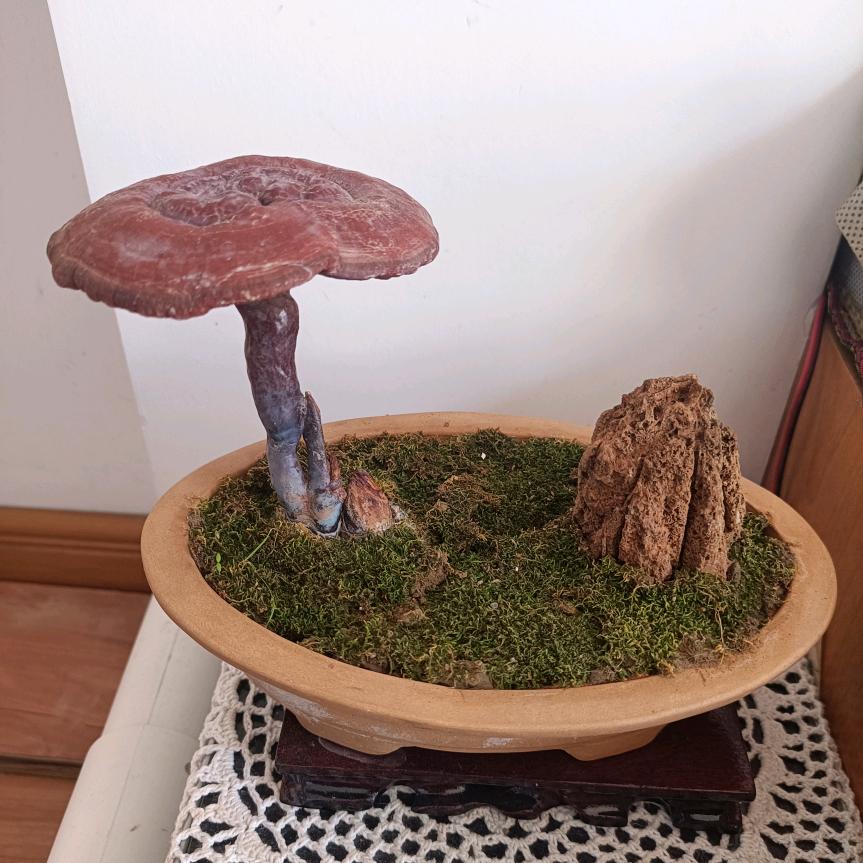 雨仁