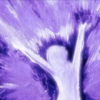 健硕母蟑螂满地乱飞