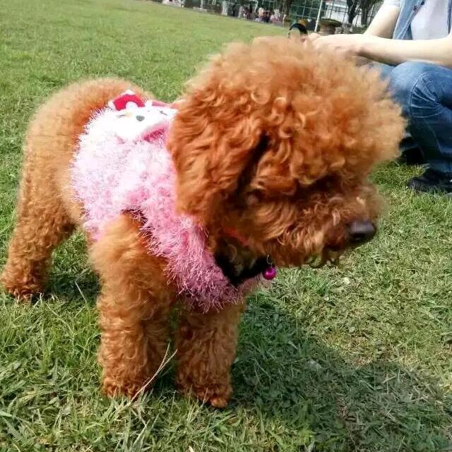 自渡自愈。