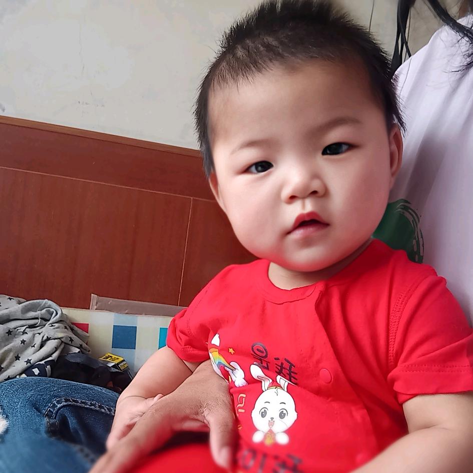 封条 Liuly tri