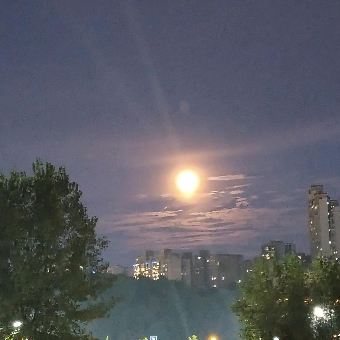 四夕日勿