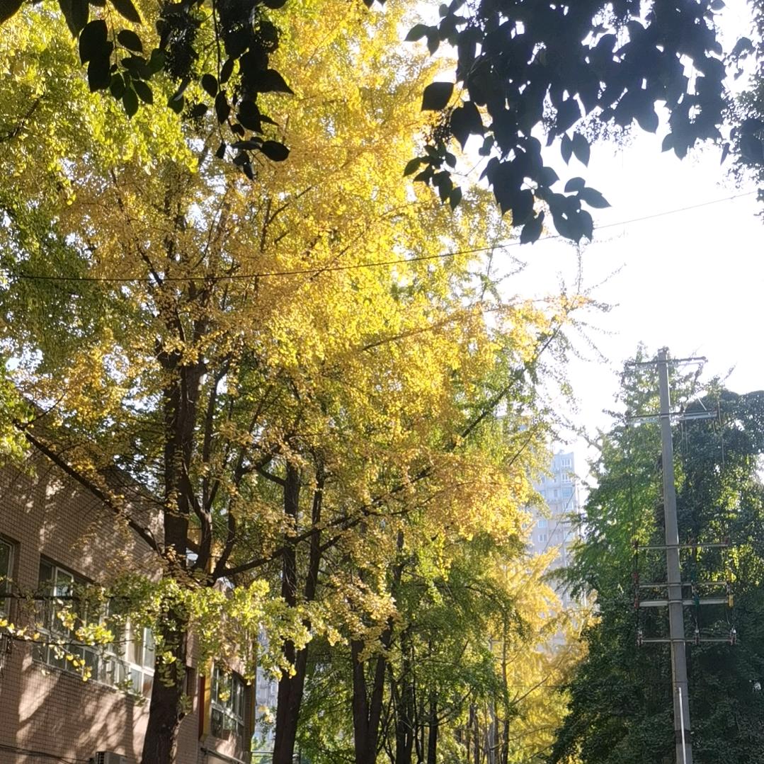 成都老师