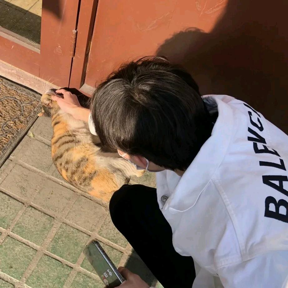 繁星⁵²⁰