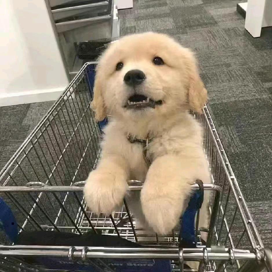 平迹是个有用的东西