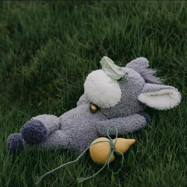 懒酱酱|｡･･)っ♡