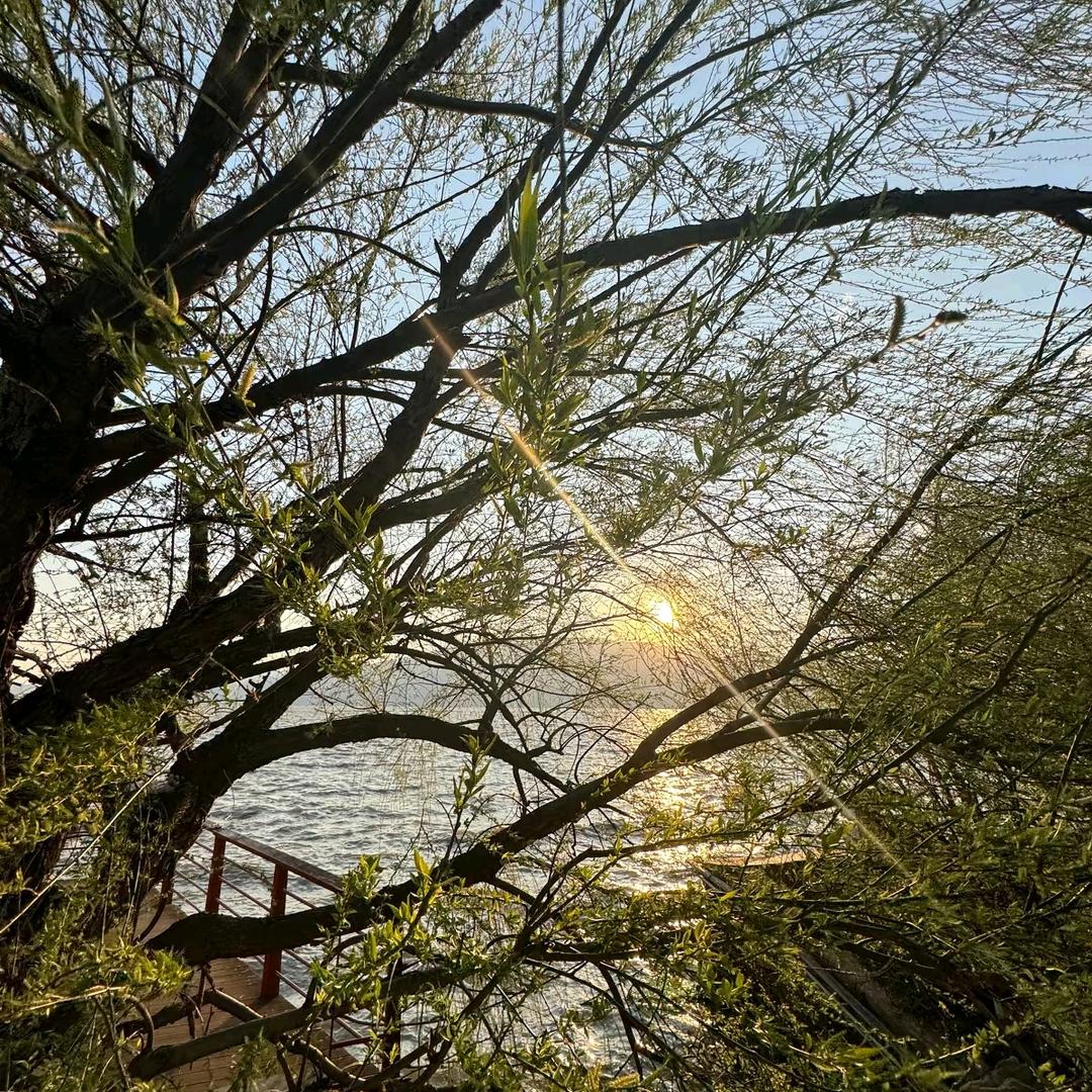 沐瑶 一路生花
