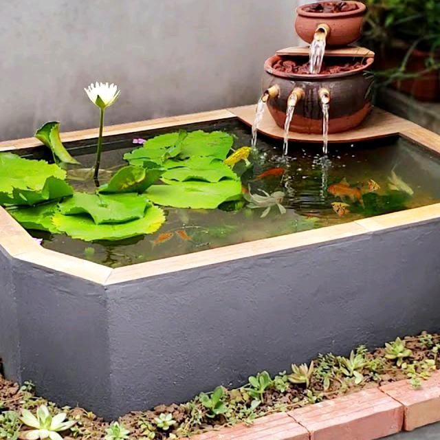 河南少年哥砥砺前行