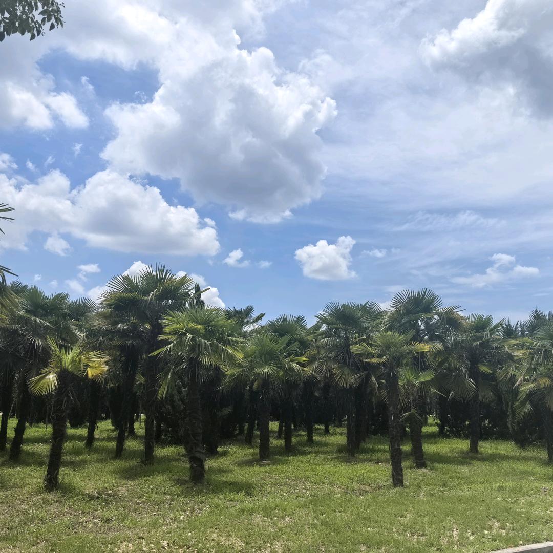 星星⭐偷走睡意💤