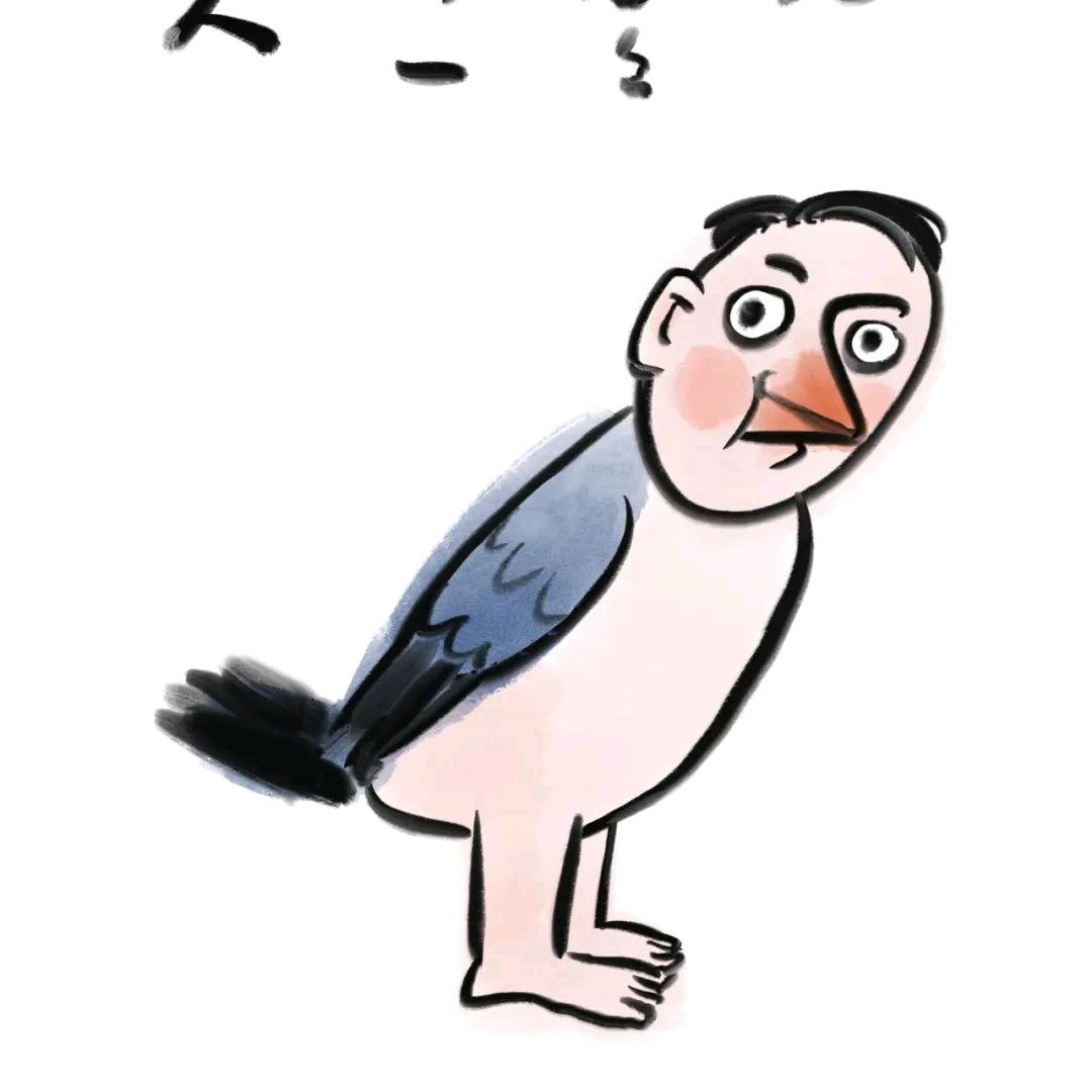 宜昌东山鸟叔🦜  分享快乐佛系卖鸟