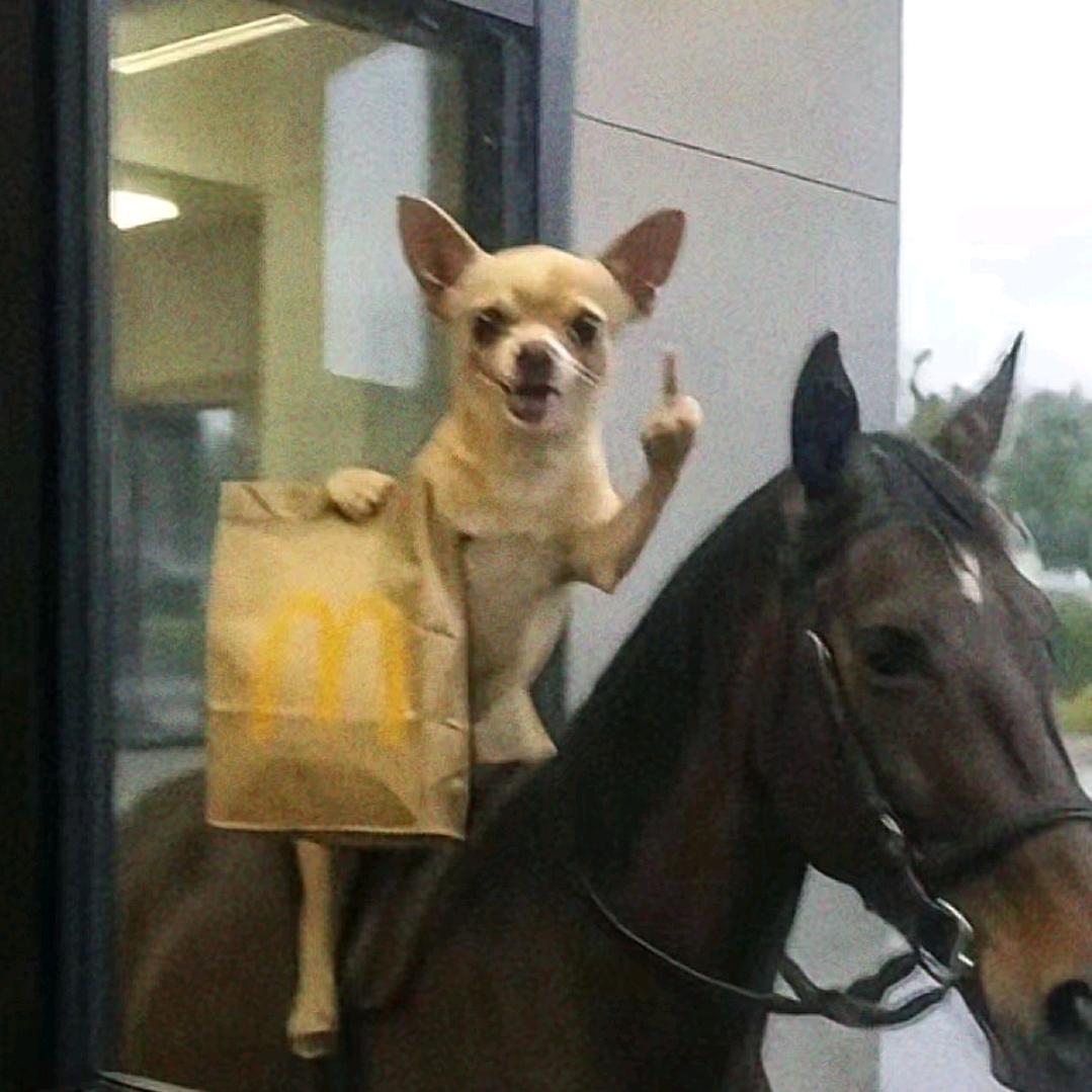 🥜