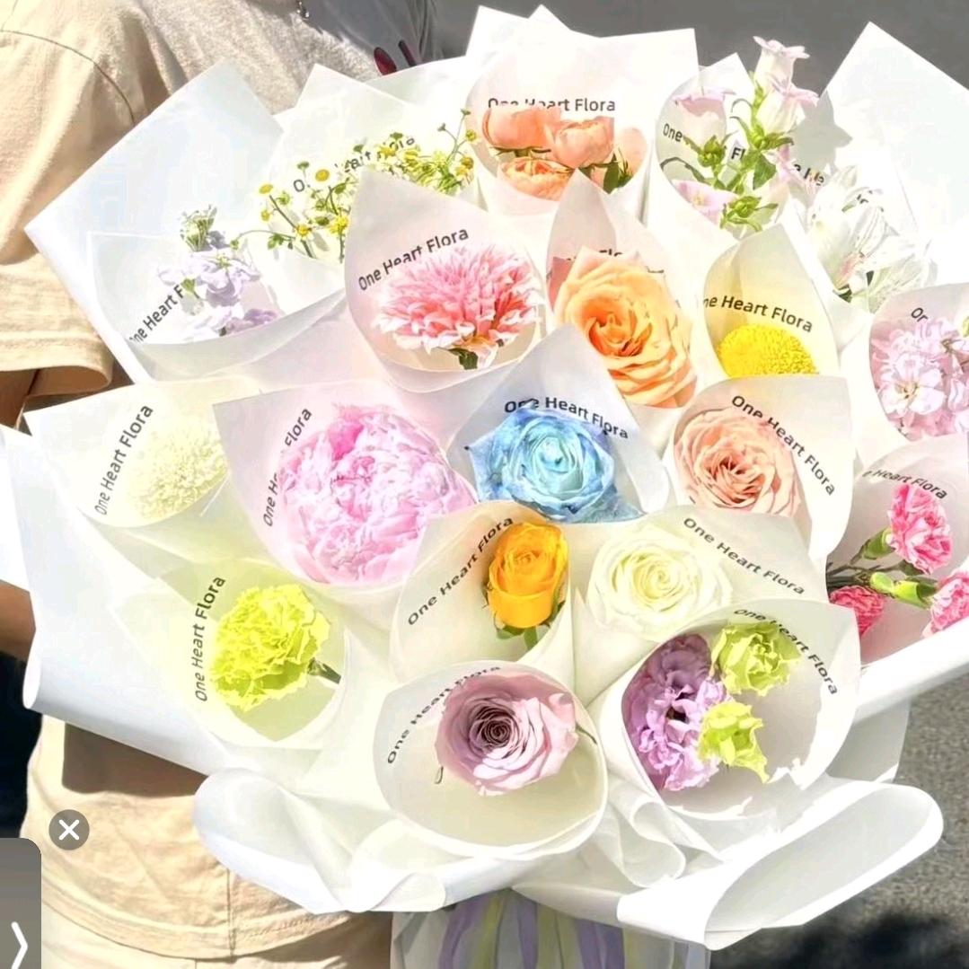 汝未归❣️孤何安