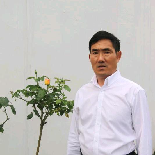 红月亮w