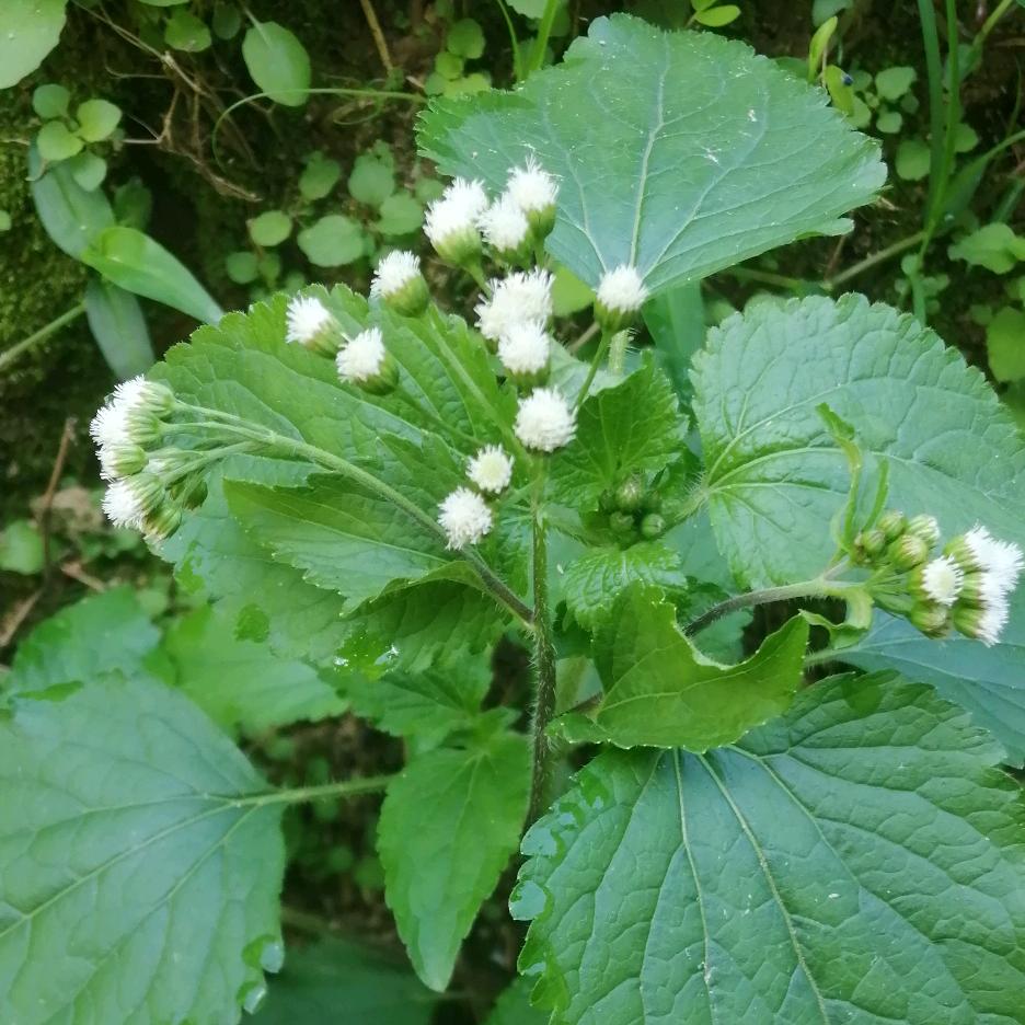 🥀এ᭄酒醉的ꦿ蝴🦋蝶ོ࿐ᩚ