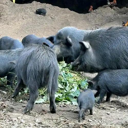 耘涛同城送商行