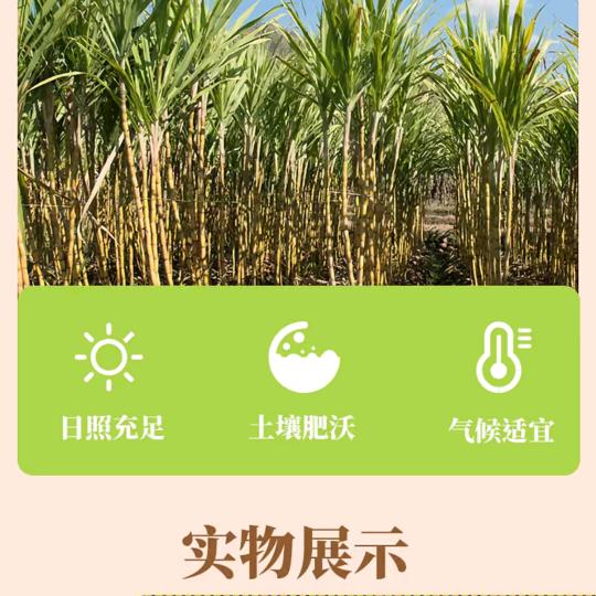 嘉诺好物贸易商行