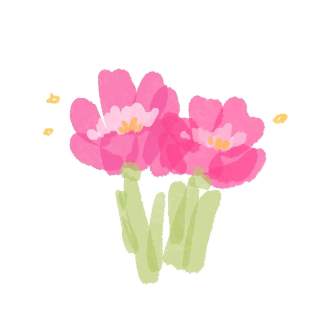爆米花花花