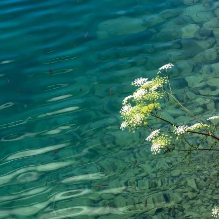 深圳市酥麻小灶餐饮管理有限公司