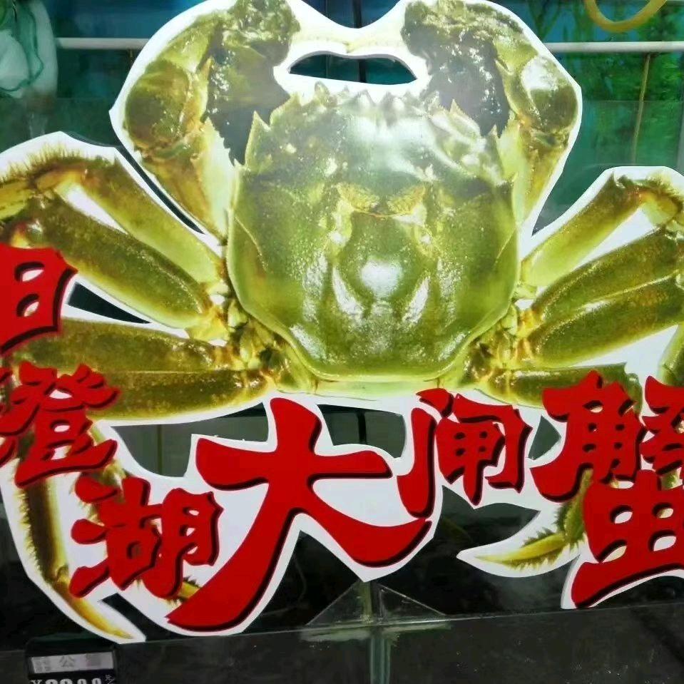 张记阳澄湖大闸蟹