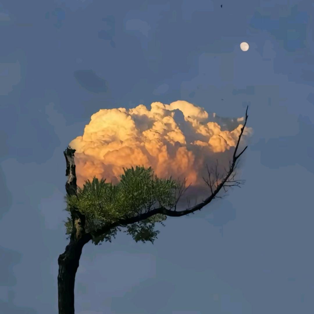 夕阳