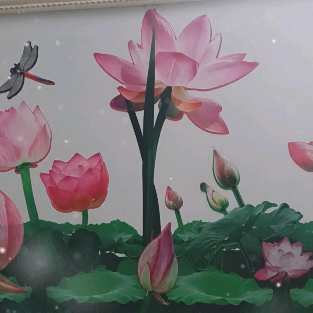 鸿琪头像