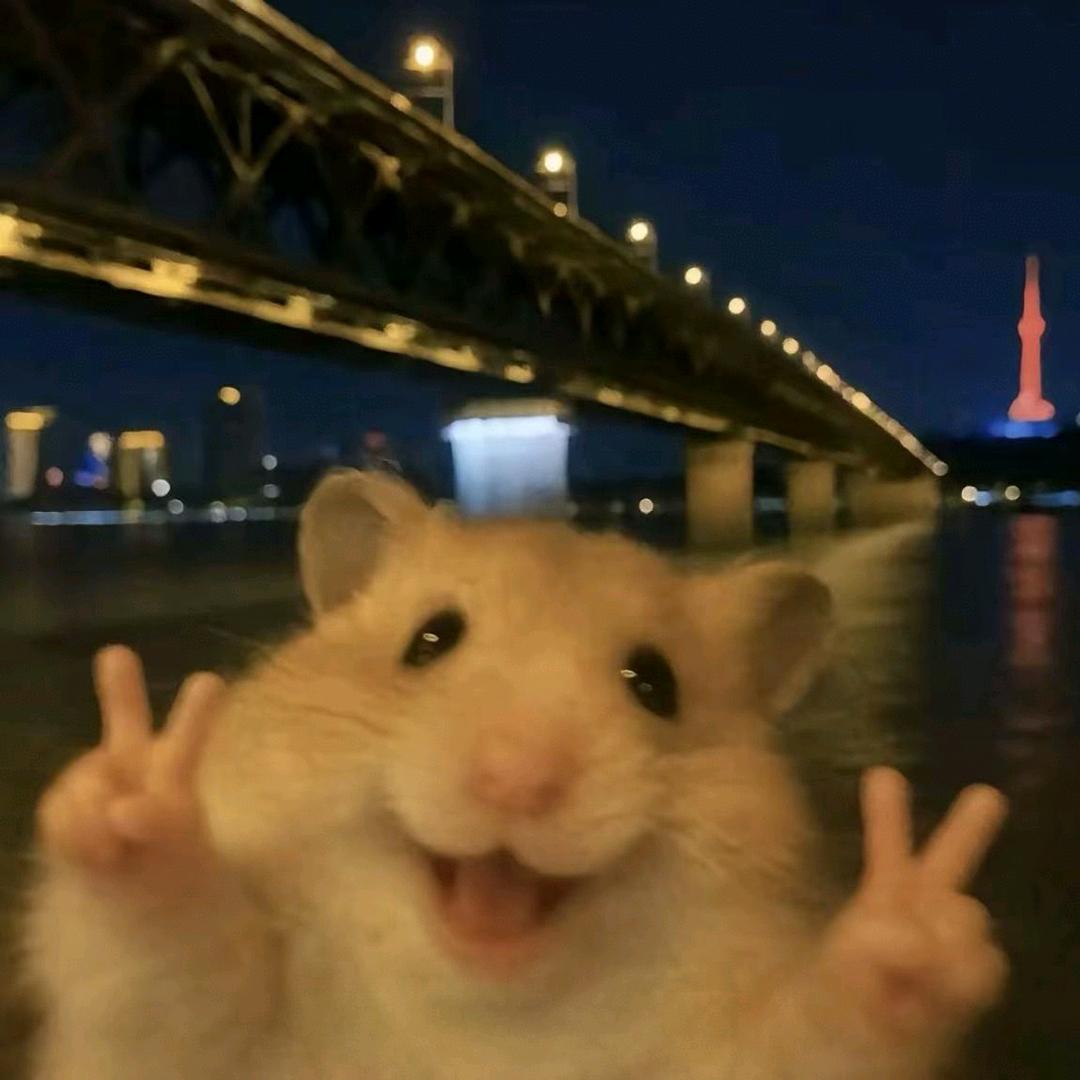 妖妖❤️
