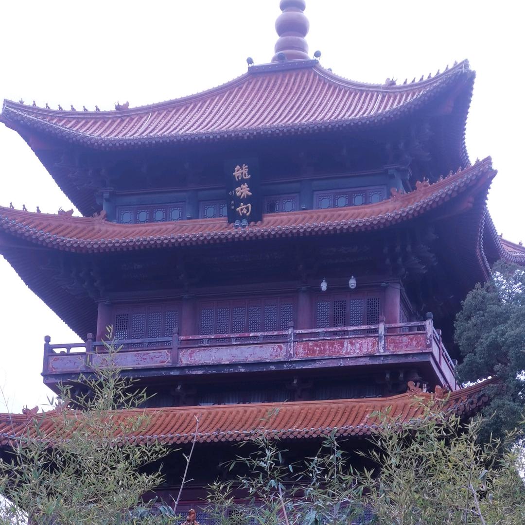 五哥（收徒）