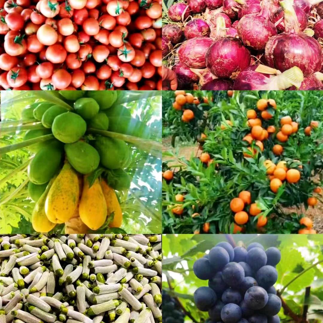 黄宏物流科技有限公司